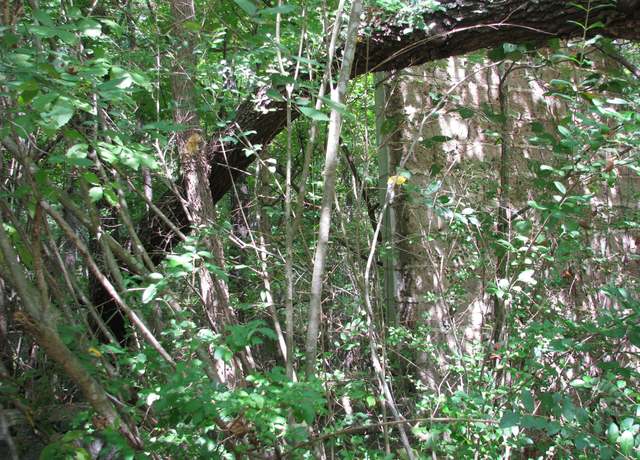 Property at 0 Old Tribble Ln, New Johnsonville, TN 37134