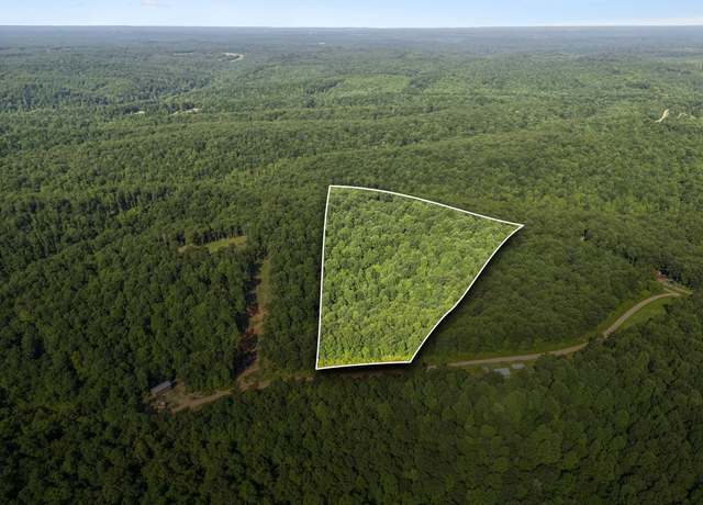 Property at 220 Ellies Run, Mount Pleasant, TN 38474