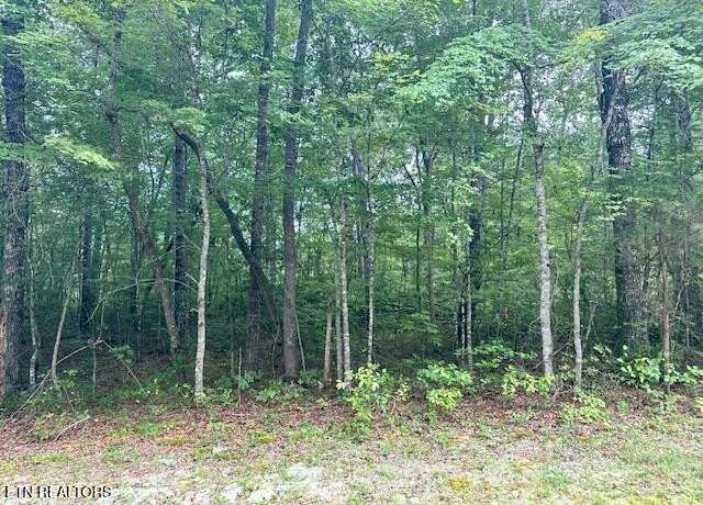 Property at 0 Cumberland Lakes Dr, Monterey, TN 38574