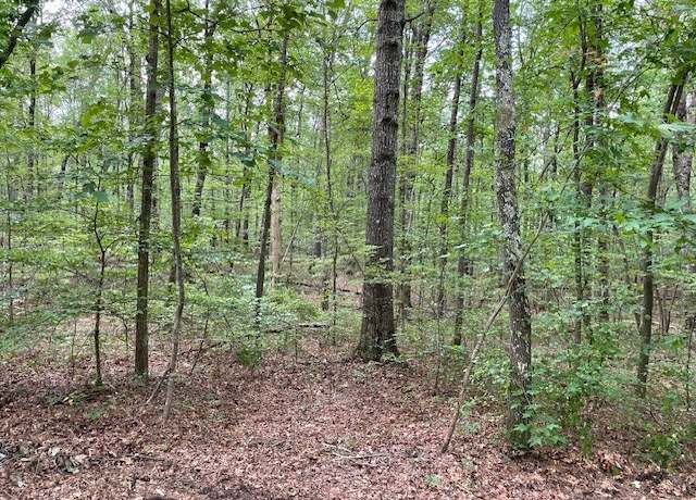 Property at 0 Shadow Rock Dr, Monteagle, TN 37356