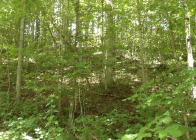 Property at 4364 Livingston Hwy, Celina, TN 38551