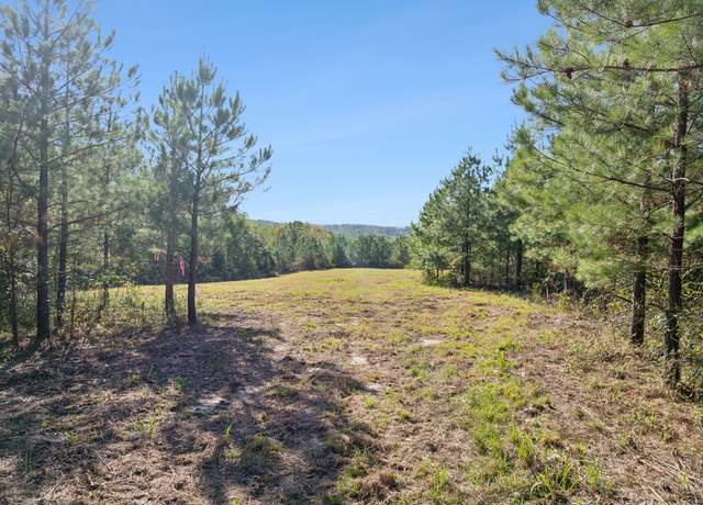 Property at 0 Cox Hillow Rd, Dover, TN 37058