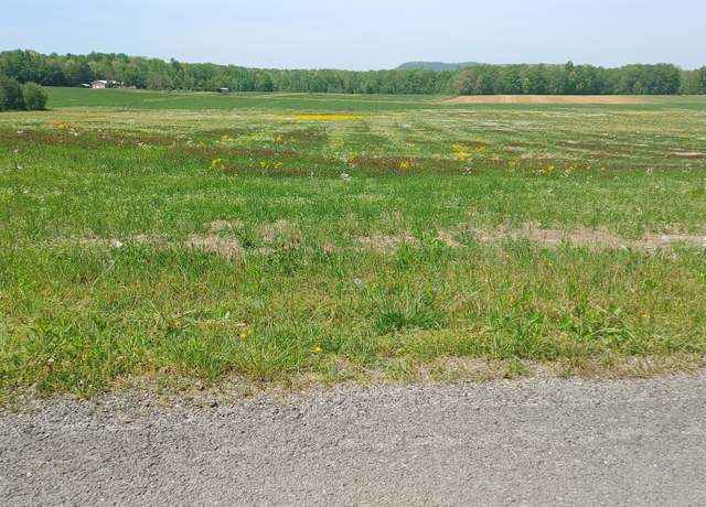 Property at 0 Blue Springs Rd, Smithville, TN 37166