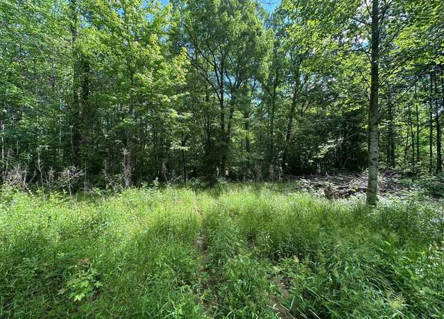 Property at 5201 Highway 150, Sequatchie, TN 37374