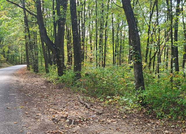 Property at 0 Rutledge St, Tracy City, TN 37387