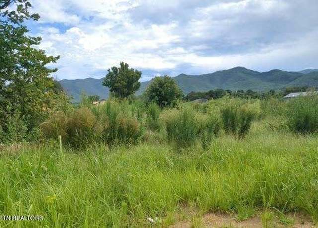 Property at 290 Bill Mauk Rd, Chuckey, TN 37641