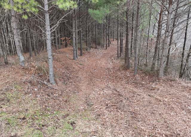 Property at 2932 Old Hohenwald Rd, Linden, TN 37096