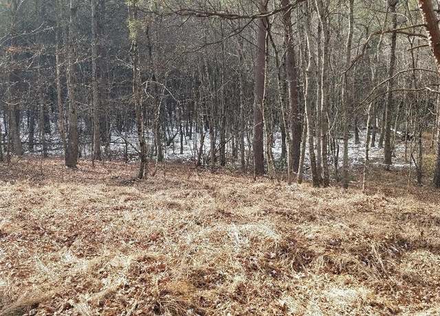 Property at 151 Indian Trail Dr, Spencer, TN 38585