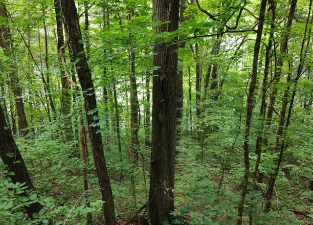 Property at 0 Lakeside Dr, Smithville, TN 37166