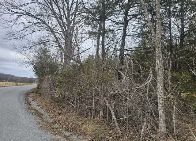 Property at 2 Love Branch Rd Tract 2, Hampshire, TN 38461