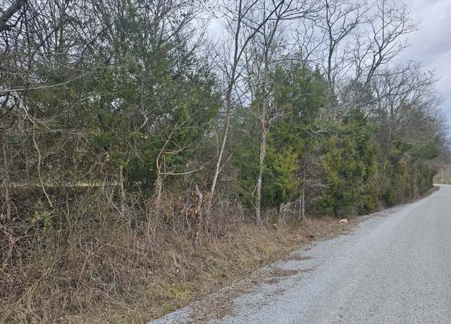 Property at 1 Love Branch Rd Tract 1, Hampshire, TN 38461