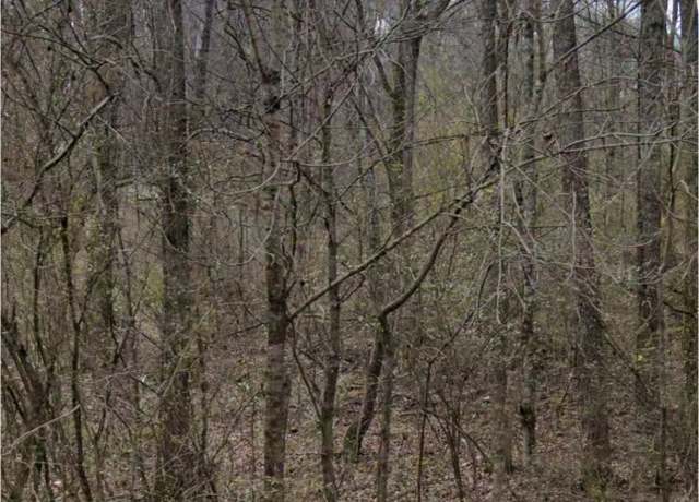 Property at 4957 Tranham Rd, Whites Creek, TN 37189