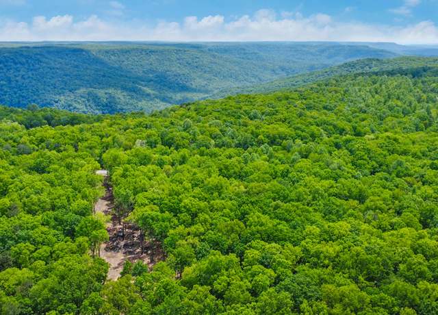 Property at 540 Cumberland Cove Rd, Monterey, TN 38574