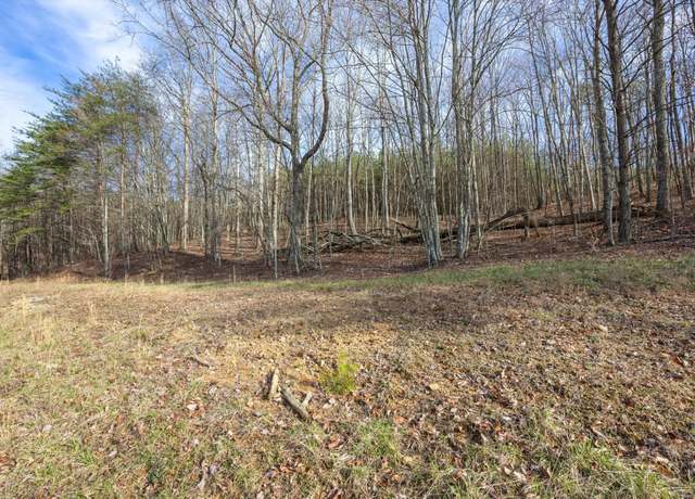 Property at 1920 Raulston Falls Rd, Jasper, TN 37347