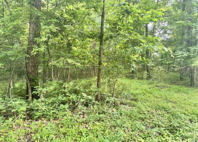 Property at 270 Shadybrook Ln, Clarksville, TN 37040