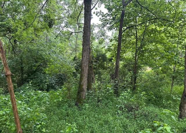Property at 3 Saw Mill Rd, Palmer, TN 37365