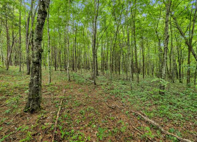 Property at 0 Eli Rd, Bon Aqua, TN 37025