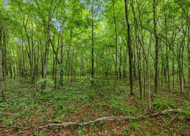 Property at 0 Eli Rd, Bon Aqua, TN 37025
