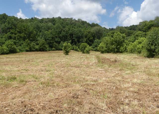 Property at 0 Lonnie Reecer Rd, Celina, TN 38551