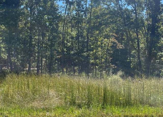 Property at 0 Beach Bluff Ln, Huntingdon, TN 38344