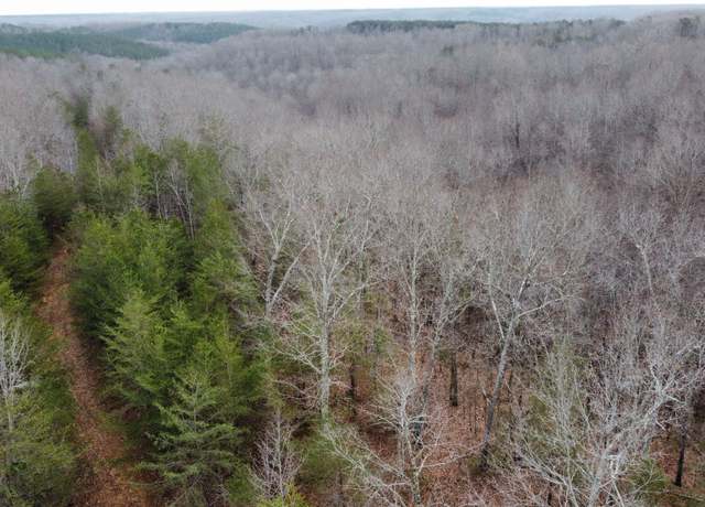 Property at 545 Howard Switch Rd, Hohenwald, TN 38462