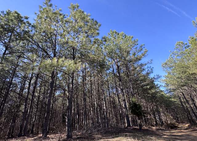 Property at 432 Liberty Ridge Rd, Hohenwald, TN 38462