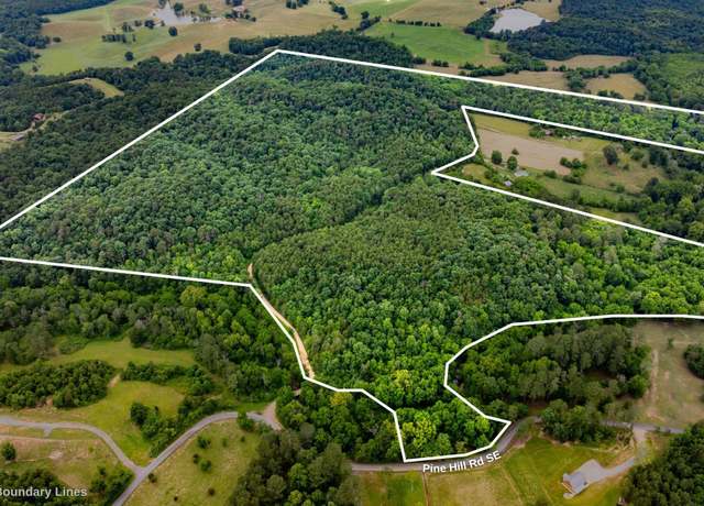 Property at 0 Pine Hill Rd SE, Rydal, GA 30171