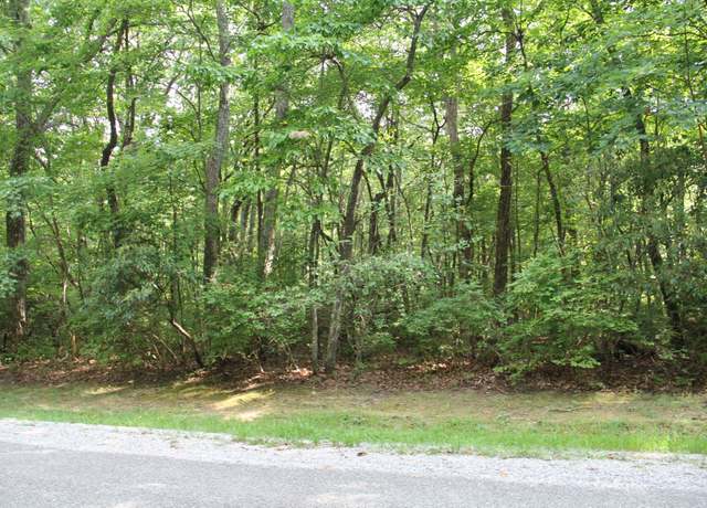 Property at 0 Chestnut Hollow Trl, Mcminnville, TN 37110