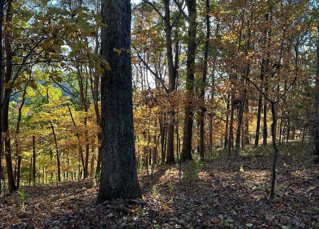 Property at 1 Old Hwy 18, Tennessee Ridge, TN 37178