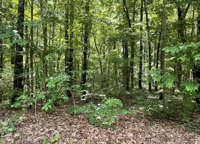 Property at 0 Long Mountain Rd, Mc Minnville, TN 37110