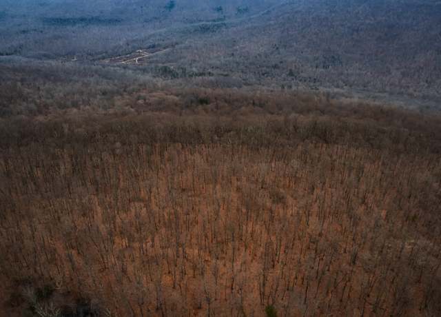 Property at 17 Higgenbotham Tpke, Altamont, TN 37301