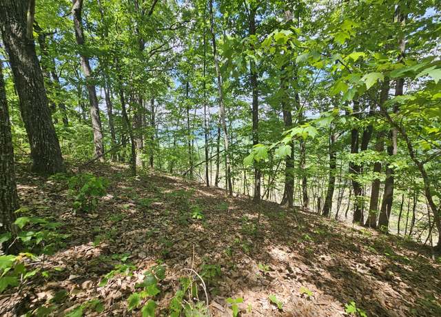 Property at 15 Higgenbotham Tpke, Altamont, TN 37301