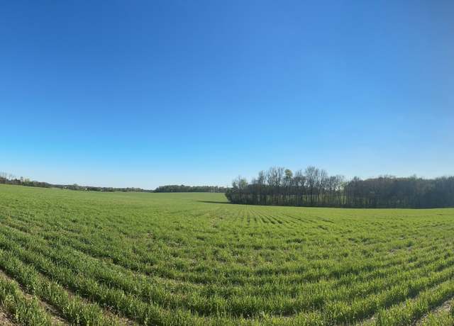 Property at 4838 Hwy 31w, Cottontown, TN 37048