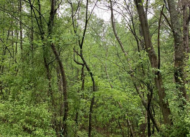 Property at 0 Four Star Pt, Smithville, TN 37166