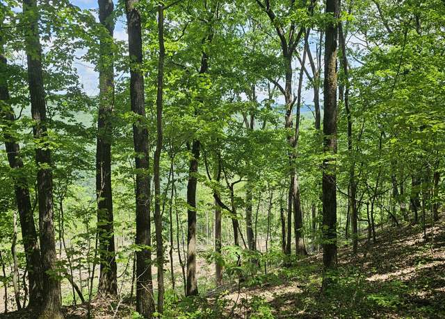 Property at 14 Higgenbotham Turkpike, Altamont, TN 37301