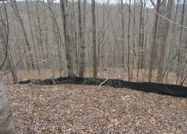 Property at 0 Bobcat Ln, Wilder, TN 38589
