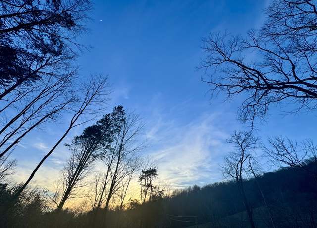 Property at 0 Stonewall Hwy, Gordonsville, TN 38563