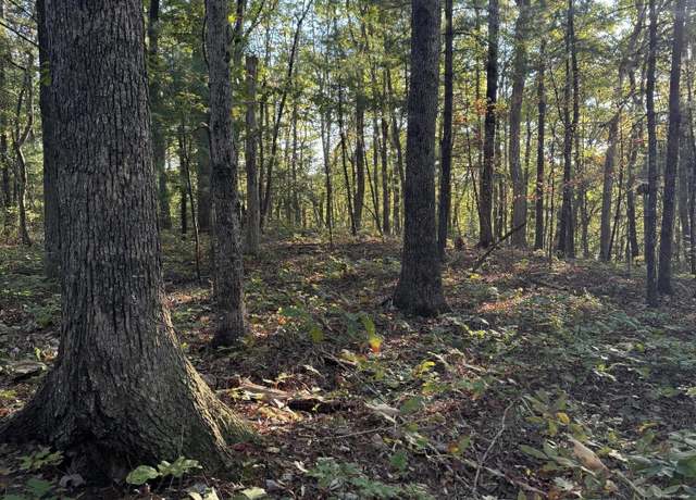 Property at 910 Ivy Branch Rd, Spring City, TN 37381