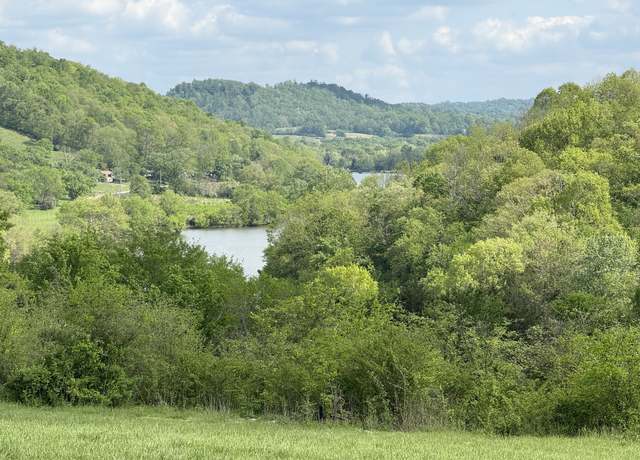Property at 222 Cook Hollow Ln, Pleasant Shade, TN 37145