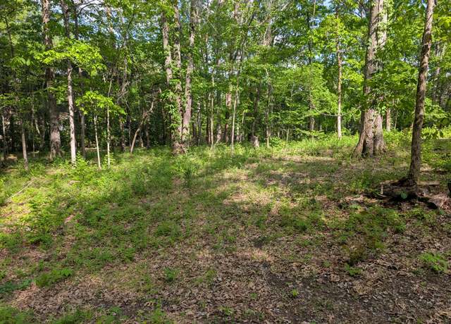 Property at 0 Bluff Rd, Brentwood, TN 37027