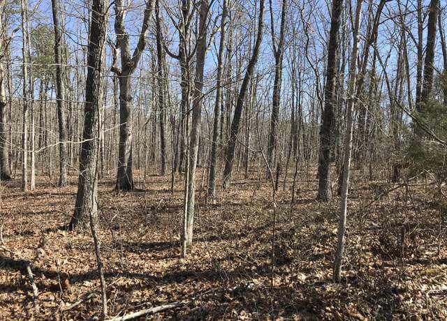 Property at 3 Deerhead Rd, Dunlap, TN 37327