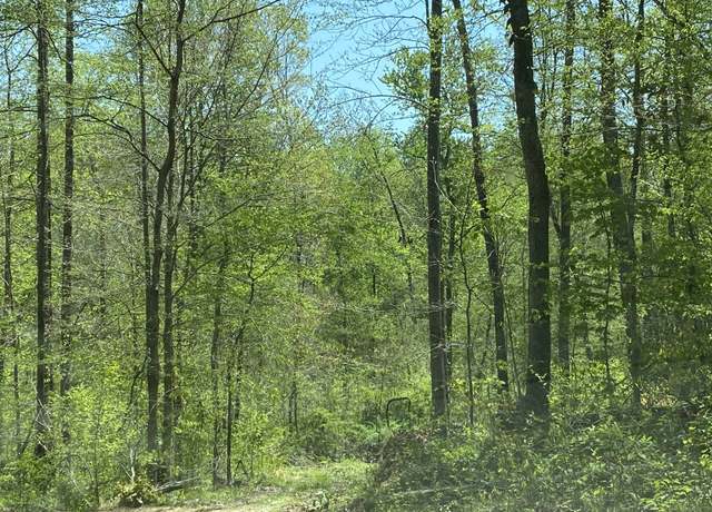 Property at 0 Day Cemetery Ln, Stewart, TN 37175