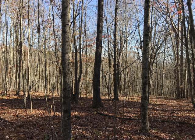 Property at 1 Hobbstown Rd, Dunlap, TN 37327
