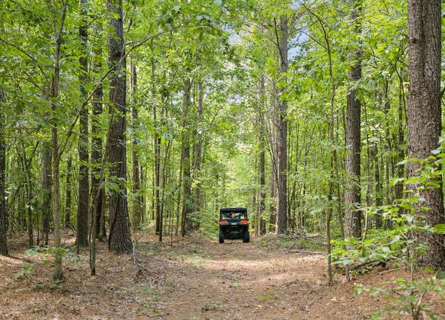 Property at 9971 Birdsong Rd, Holladay, TN 38341