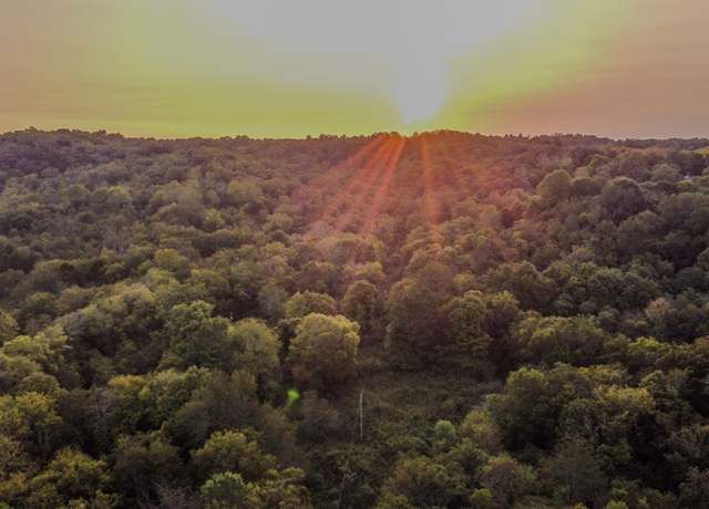 Property at 6 Mcburg Dellrose Rd, Dellrose, TN 38453