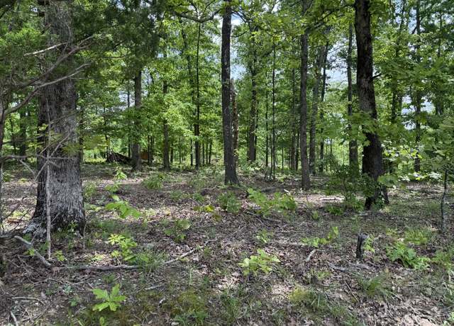 Property at 0 Robertson Rd, Mc Ewen, TN 37101