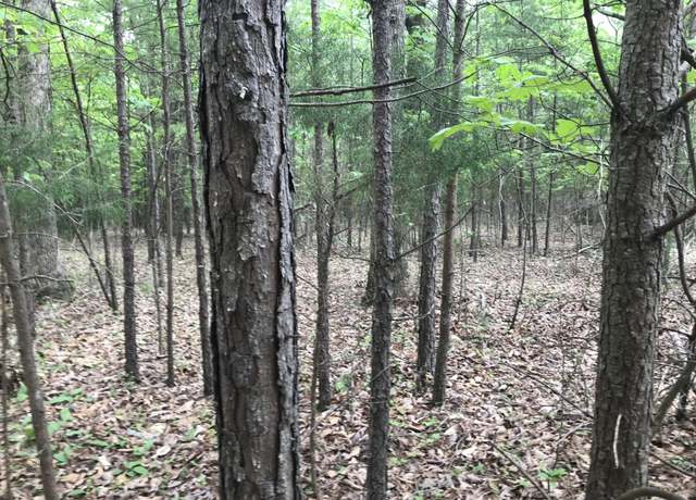 Property at 0 Bluffview Dr, Dunlap, TN 37327