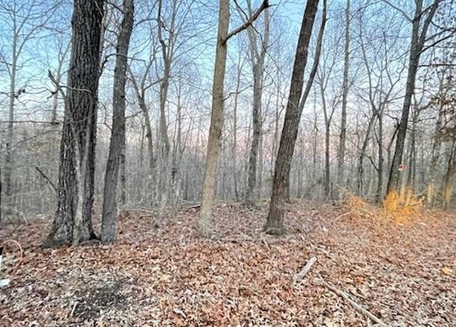 Property at 0 East Dogwood Rd, Buchanan, TN 38222