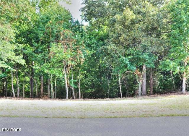 Property at 204206208 Majestic View Dr, Rockwood, TN 37854