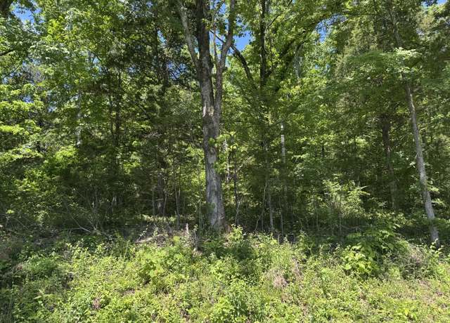 Property at 397 Red Bank Rd, Lobelville, TN 37097
